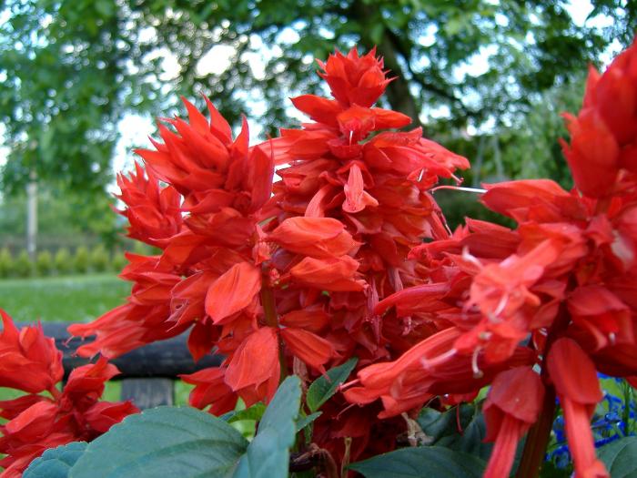 foto k příspěvku  od Bolthorn