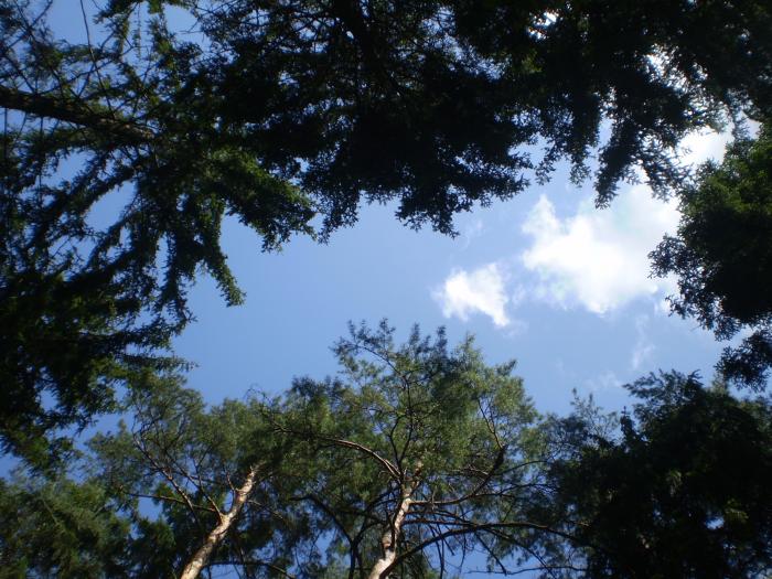 foto k příspěvku  od škodovkář