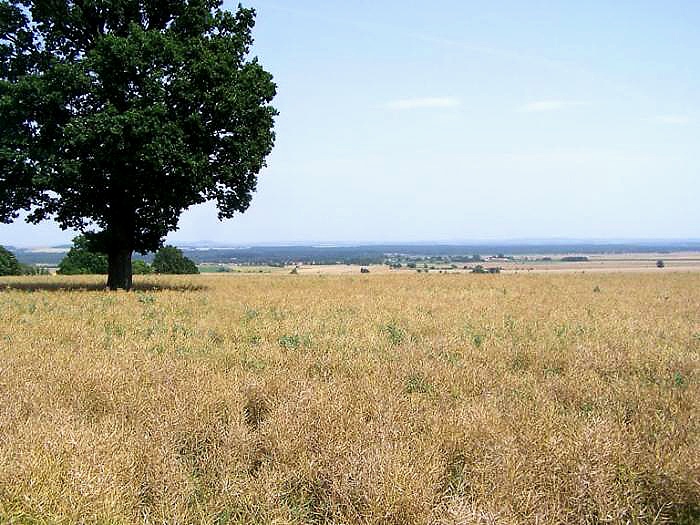 foto k příspěvku  od Bolthorn