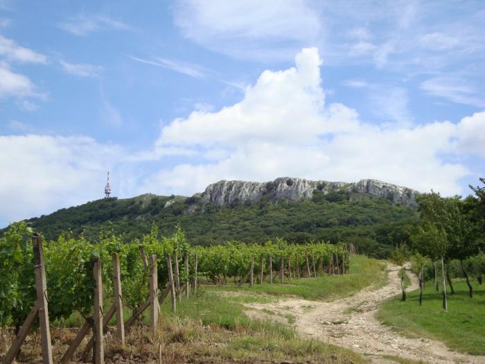 foto k příspěvku  od X-sat