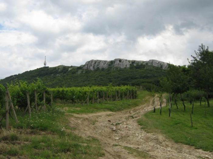 foto k příspěvku  od X-sat