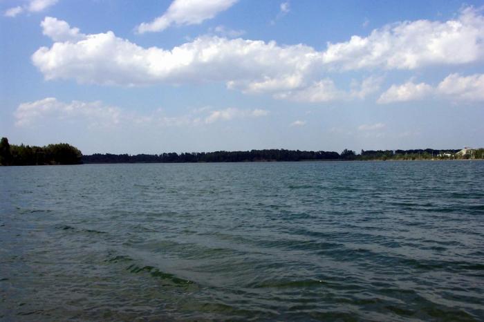 foto k příspěvku  od All