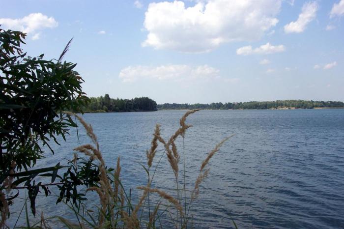 foto k příspěvku  od All