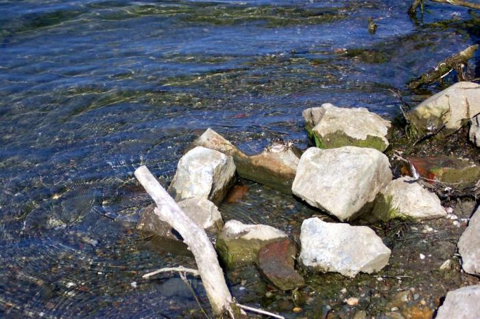 foto k příspěvku  od All