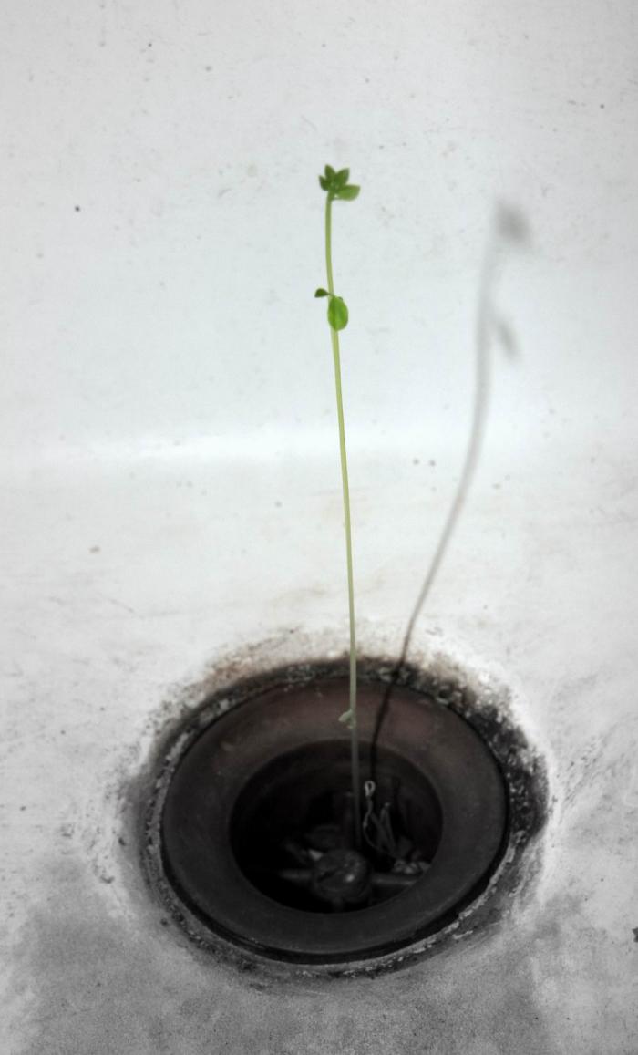 foto k příspěvku  od Lukasino