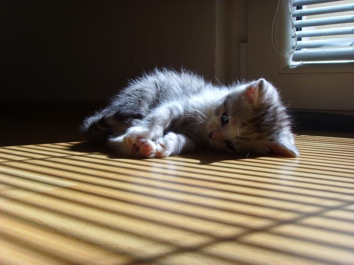 foto k příspěvku  od D-door