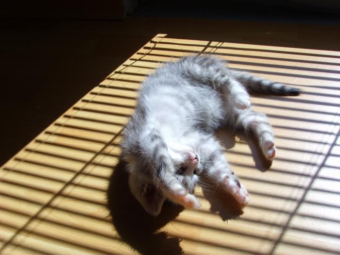 foto k příspěvku  od D-door