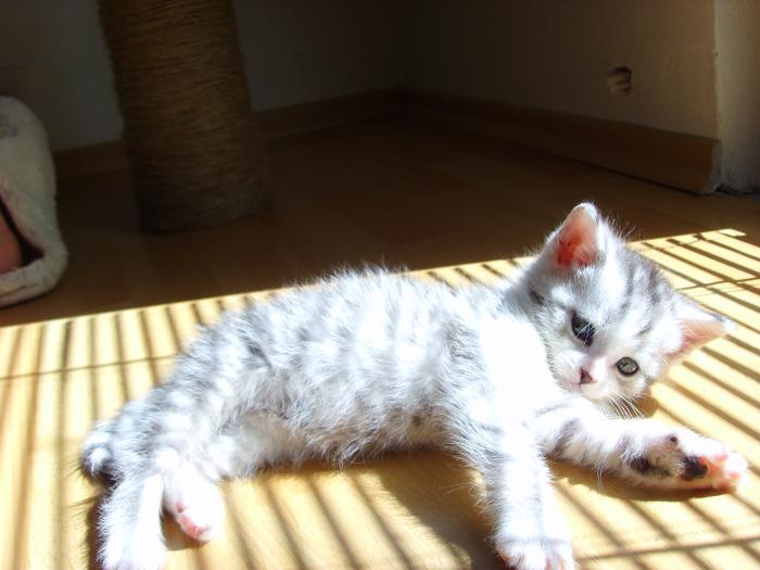 foto k příspěvku  od D-door