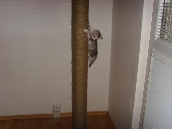 foto k příspěvku  od D-door