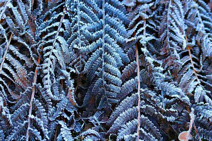 foto k příspěvku  od Crimson