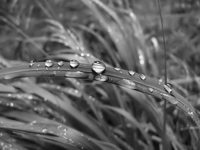 foto k příspěvku  od Crimson