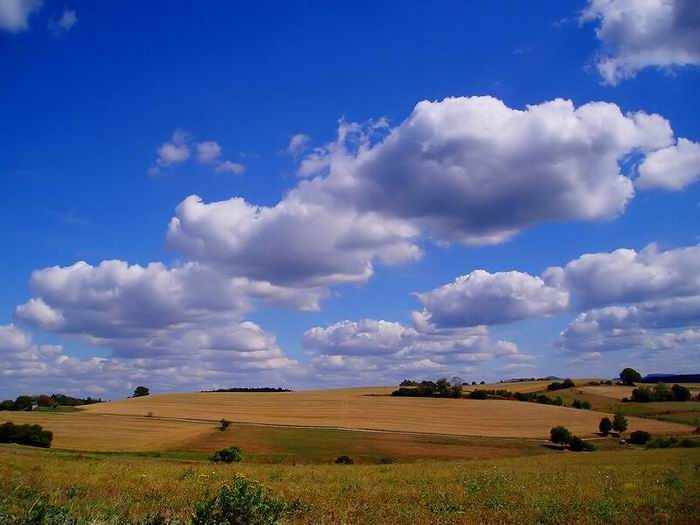 foto k příspěvku  od Crimson