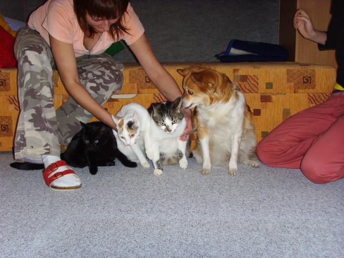 foto k příspěvku  od D-door