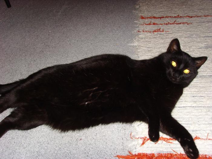 foto k příspěvku  od D-door