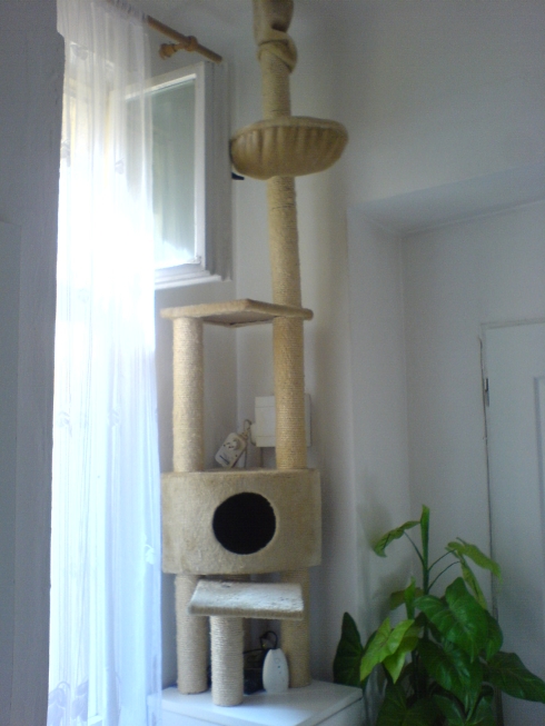 foto k příspěvku  od Ondry 2.0 20v