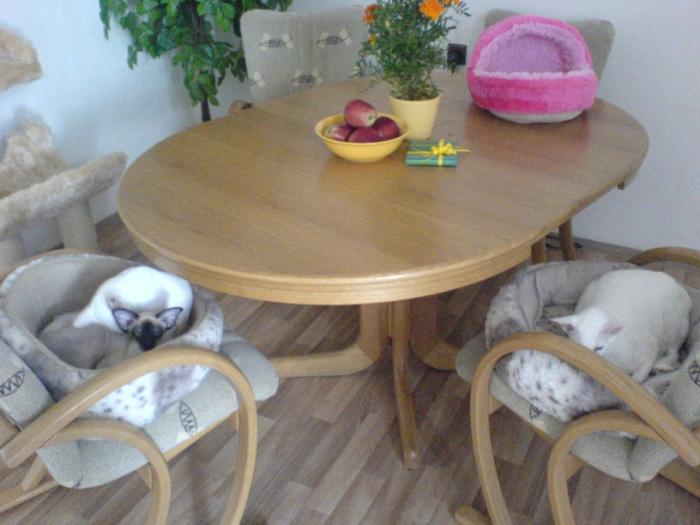 foto k příspěvku  od Ondry 2.0 20v