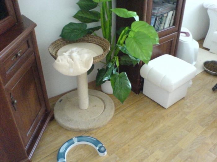 foto k příspěvku  od Ondry 2.0 20v