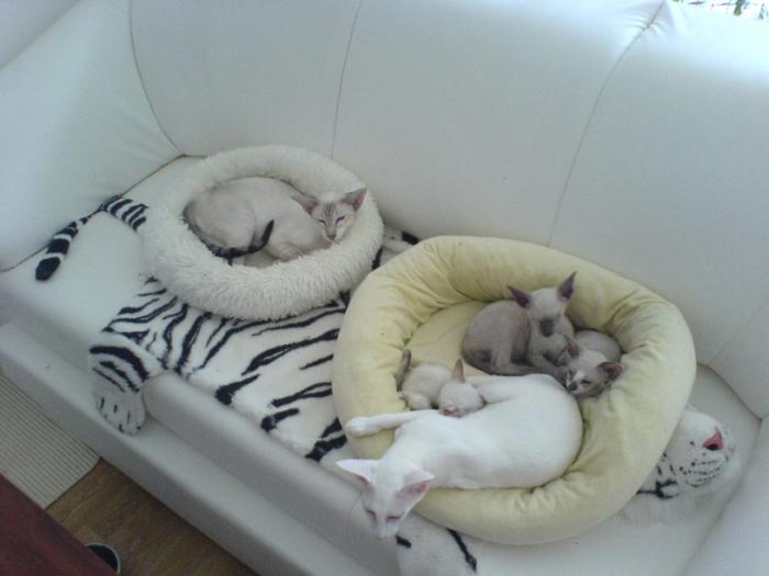 foto k příspěvku  od Ondry 2.0 20v