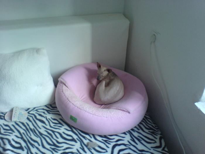 foto k příspěvku  od Ondry 2.0 20v