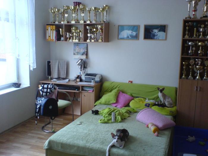 foto k příspěvku  od Ondry 2.0 20v