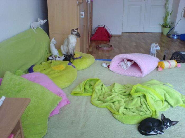 foto k příspěvku  od Ondry 2.0 20v