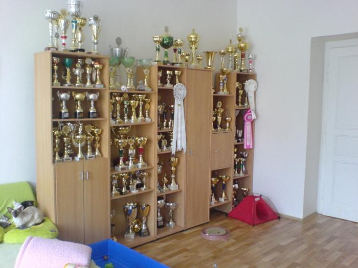 foto k příspěvku  od Ondry 2.0 20v