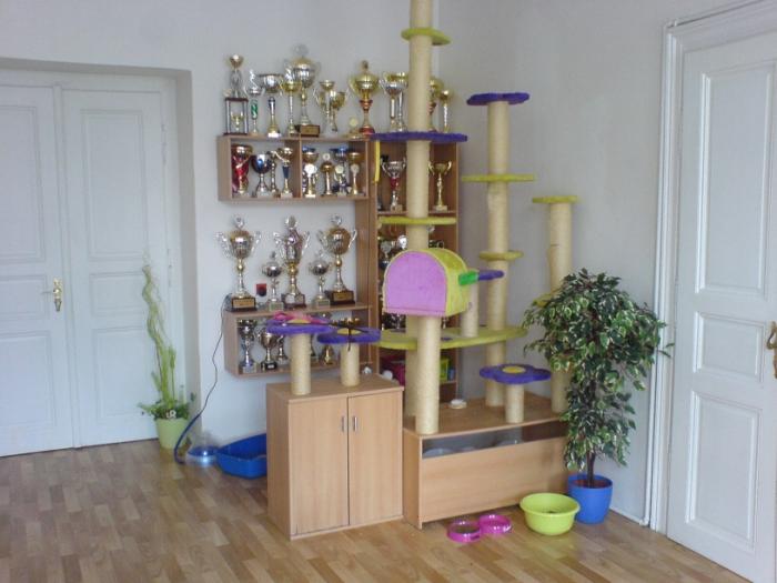 foto k příspěvku  od Ondry 2.0 20v