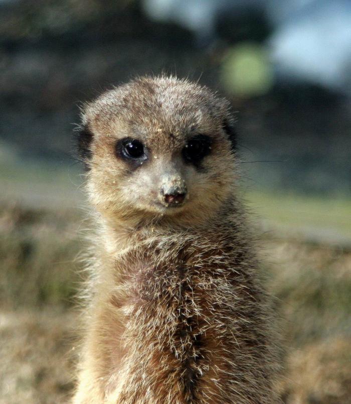 foto k příspěvku  od Lukasino