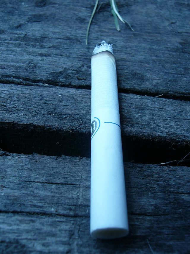 foto k příspěvku  od dolph