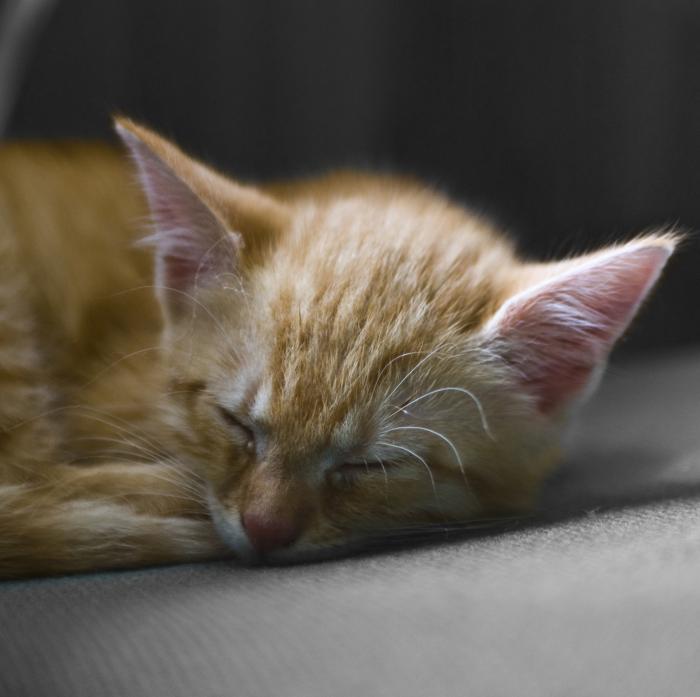 foto k příspěvku  od Bucci