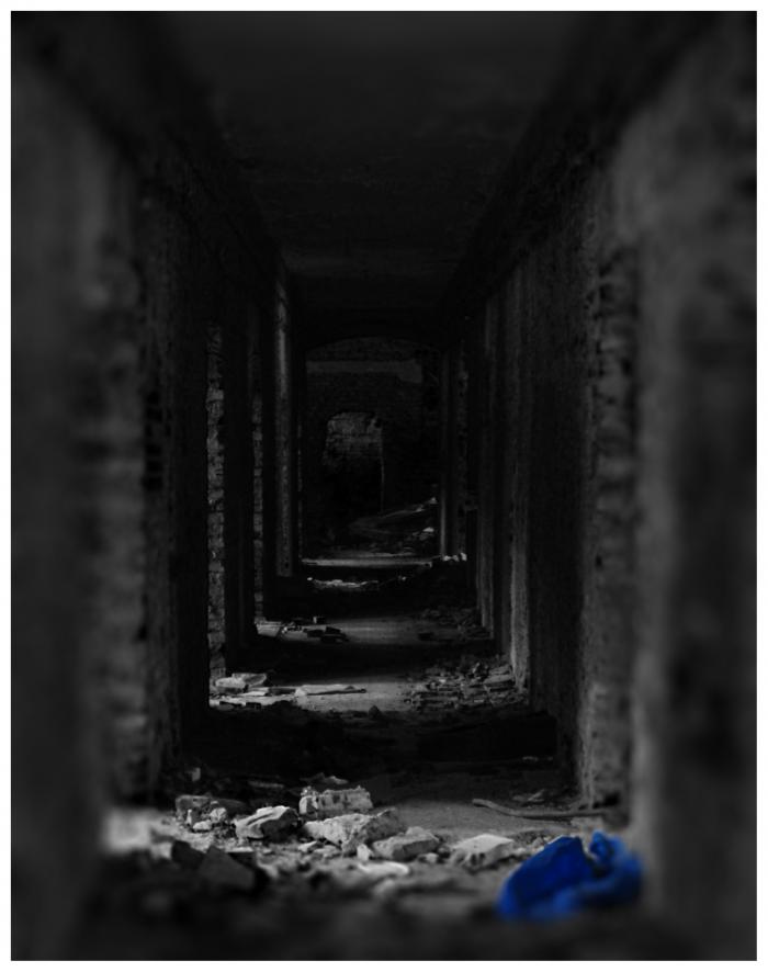 foto k příspěvku  od Bucci