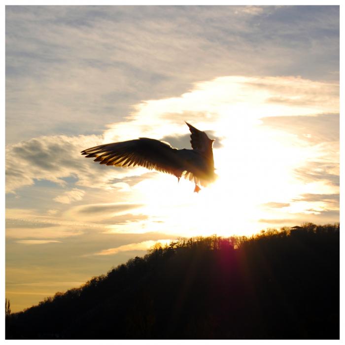 foto k příspěvku  od Bucci