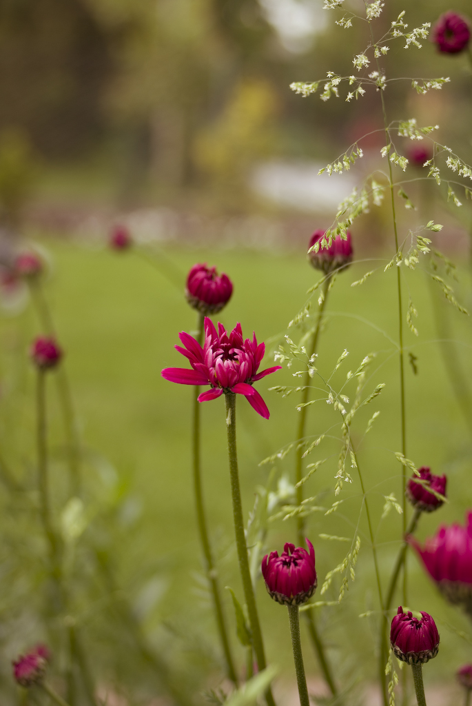 foto k příspěvku  od jdoizo