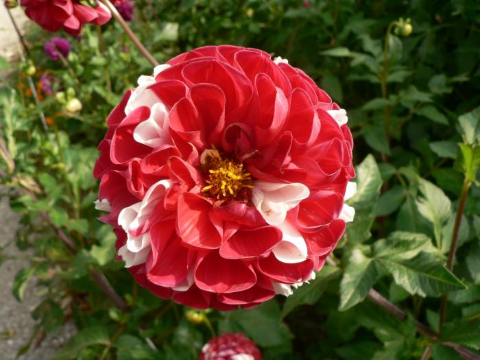 foto k příspěvku  od Route88