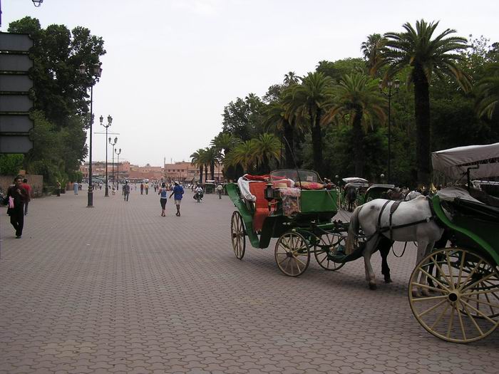 foto k příspěvku  od Crimson