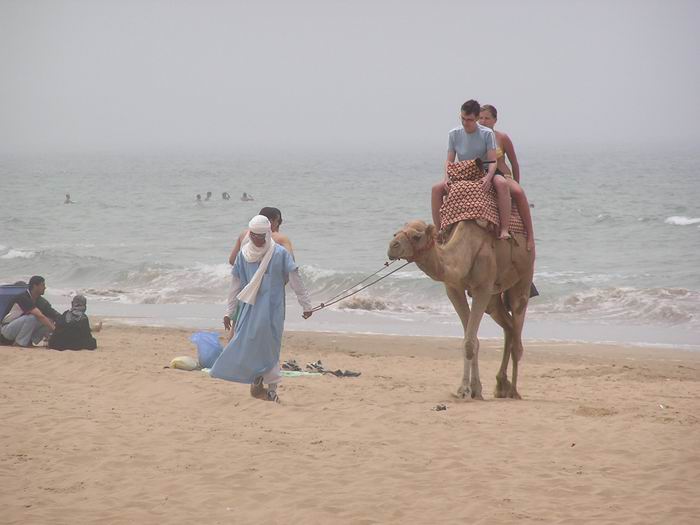 foto k příspěvku  od Crimson