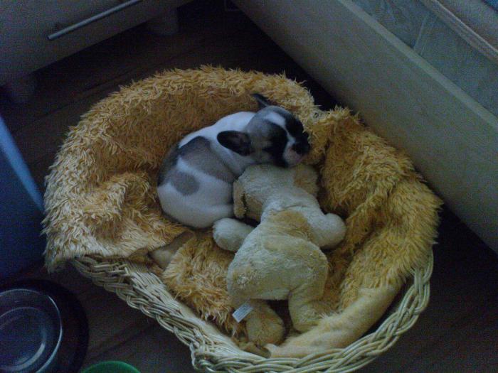 foto k příspěvku  od martinz