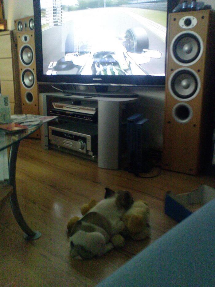 foto k příspěvku  od martinz