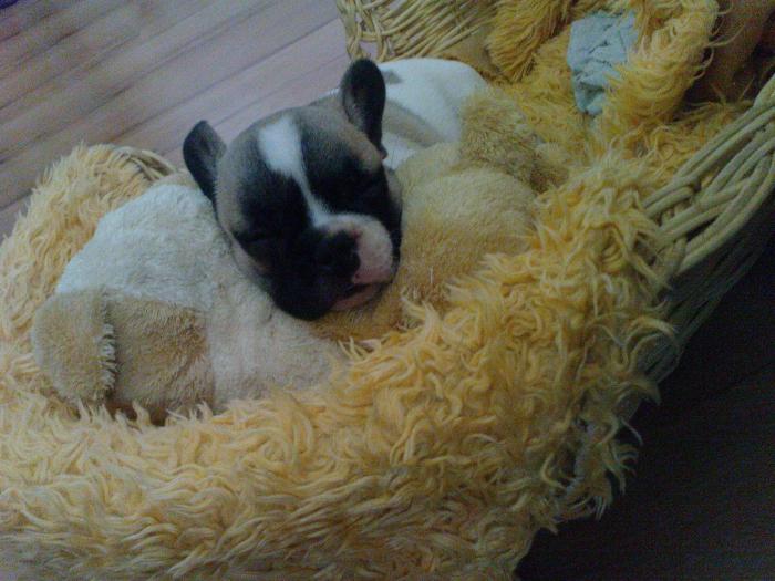 foto k příspěvku  od martinz