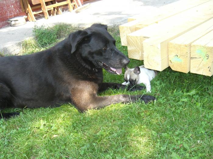 foto k příspěvku  od martinz