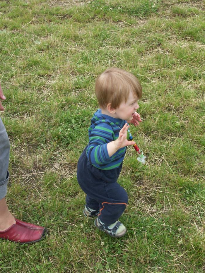 foto k příspěvku  od TAZZZZ