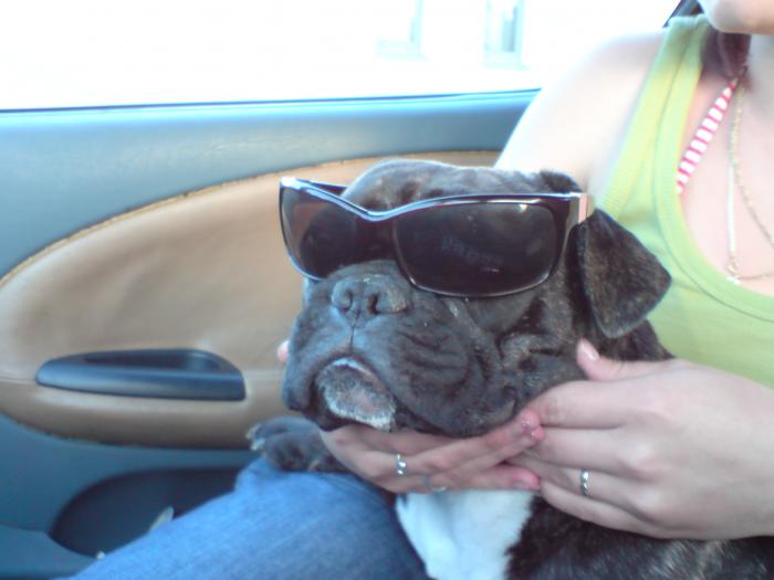 foto k příspěvku  od bigmat