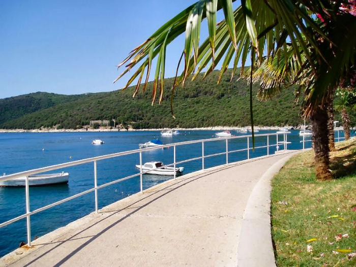 foto k příspěvku  od Crimson