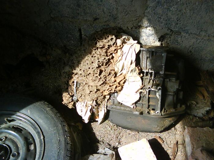 foto k příspěvku  od crestik