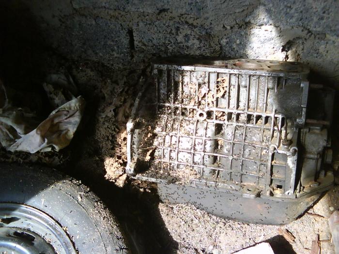 foto k příspěvku  od crestik