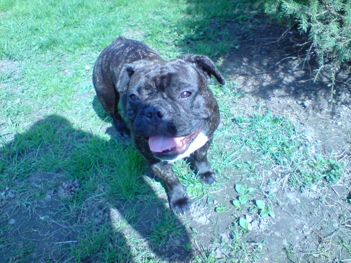 foto k příspěvku  od bigmat