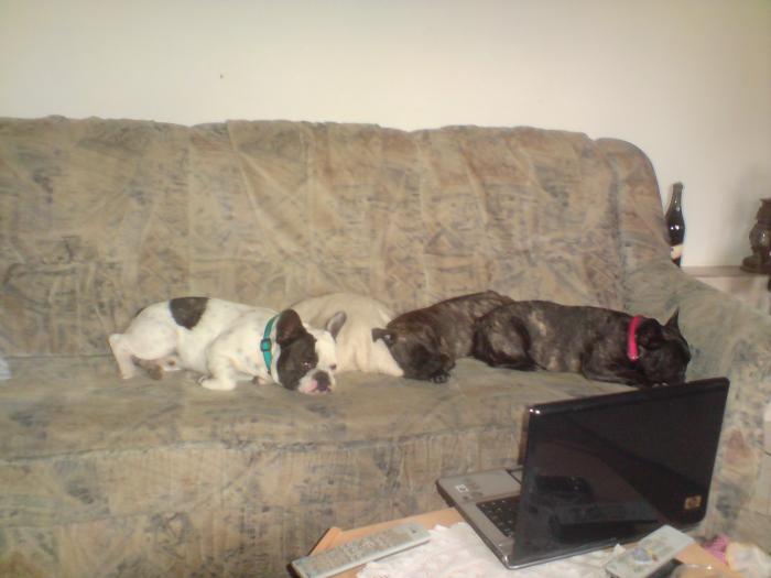 foto k příspěvku  od bigmat