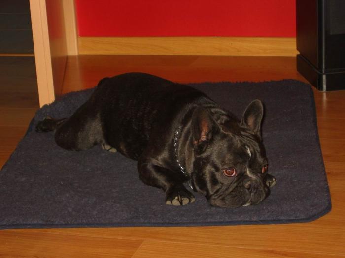 foto k příspěvku  od DaveF