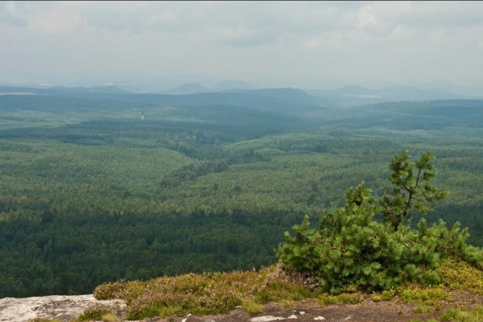 foto k příspěvku  od kondor