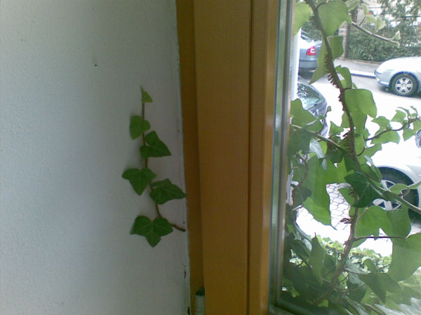 foto k příspěvku  od Zdenek